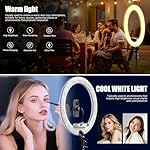 Ring Light with Stand and Phone Holder, 19" Ring Light Tripod for iPhone, Professional LED Circle Light with 78" Tripod, Selfie Ringlight for Live Streaming, Makeup, Barber, TikTok, YouTube, White - Image 2