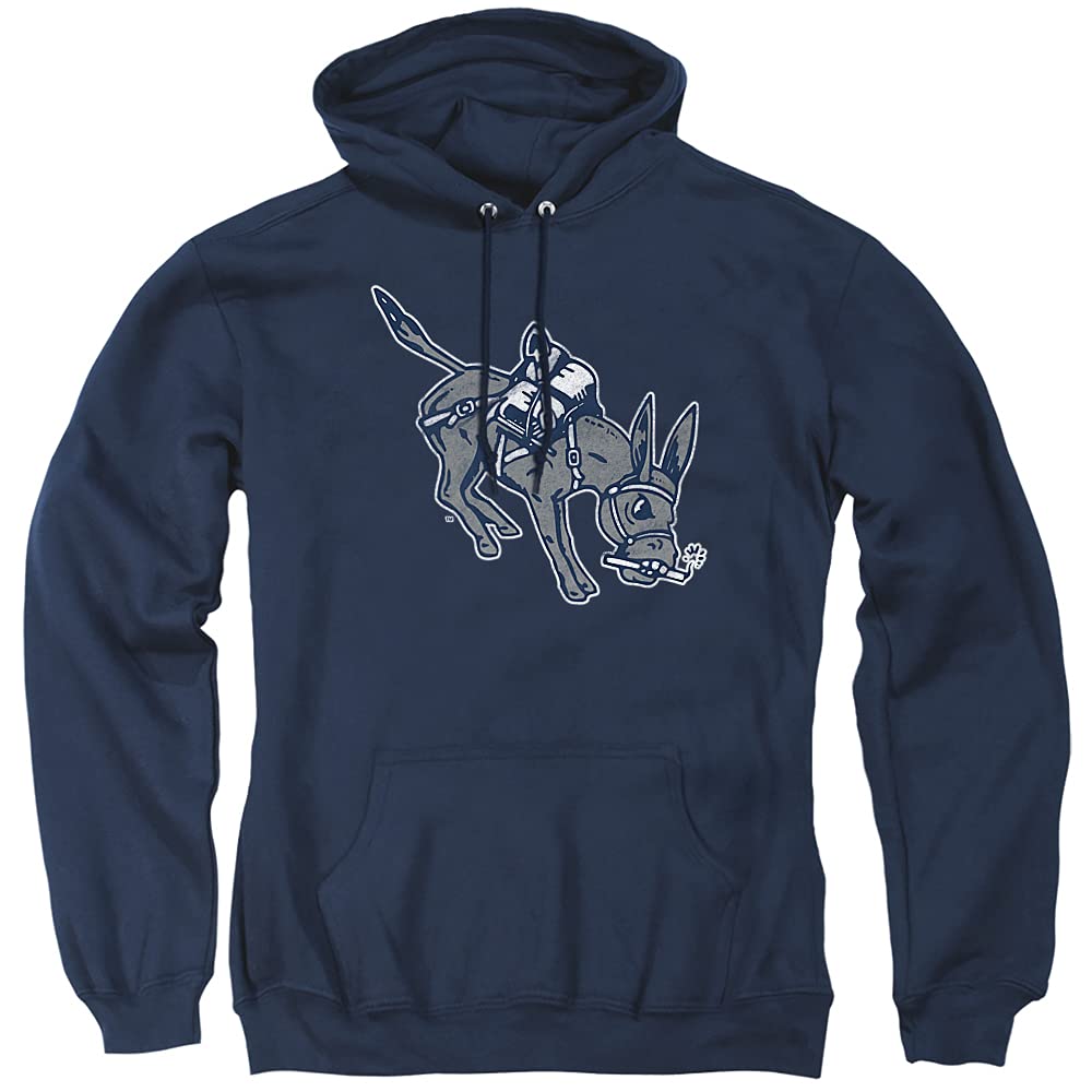 LOGOVISION Official Collegiate Distressed Primary Logo Adult Pullover Hoodie Collection — view 431