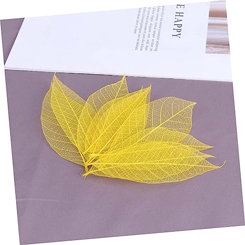 Ciieeo 150 Peças Folha Esqueleto Arte Folhas De Esqueleto Para Artesanato Folhas Prensadas Folhas De