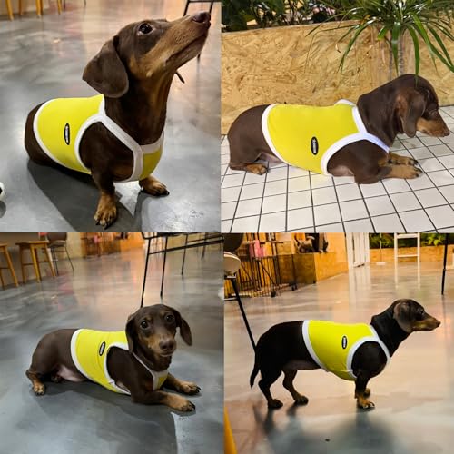 Playera fresca para perros talla M miniatura 4