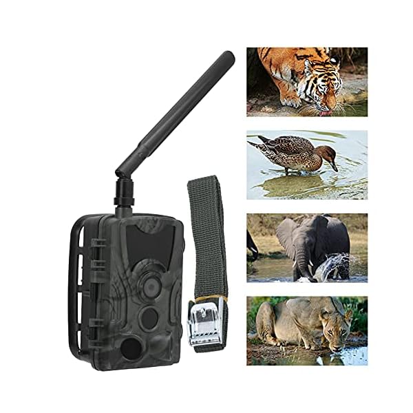Tenpac Wildkamera, Echtzeit-Videojagdkamera 4K HD für die Sicherheit bei der Wildtierbeobachtung für die Jagd – Bild 6