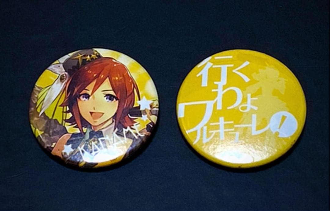 100%本物 マクロスΔ ワルキューレ LIVE 缶バッジ 全種セット