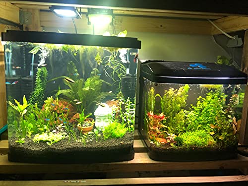 HANNAHONG-10W-LED-Flood-Light-with-ONOff-Switch-Plug-inCool-WhiteSecurityWorkPlant-Grow-Outdoor-LightIP66-WaterproofReflector-Spotlight-for-Porch-GaragePatioYardGarden