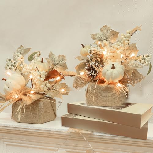 2 Styles & Timer Fall Decor - 2 Pack 11 Inch Tabletop Maple Tree Fall Decorations for Home, Lighted Fall Tree with 20 LEDs Battery Powered Leafed Pumpkin Cones Berry Halloween Thanksgiving Decorations