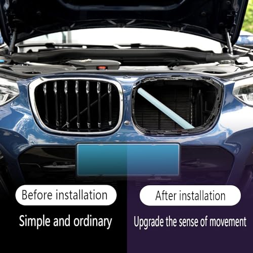 Image of V Brace Grille Inserts Stripes Trim fit for BMW V Brace Grill Stripes Front Grill Insert Trims Compatible with BMW E60 F52 V Brace Stripes Cover V Brace Wrap Covers -White