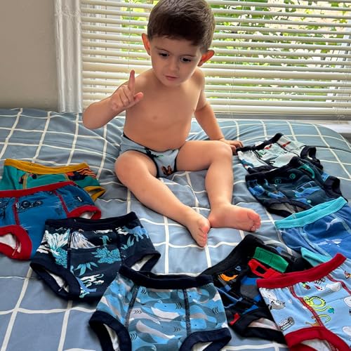 Image of BIG ELEPHANT 10-Pack Potty Training Underwear, Toddler Training Pants