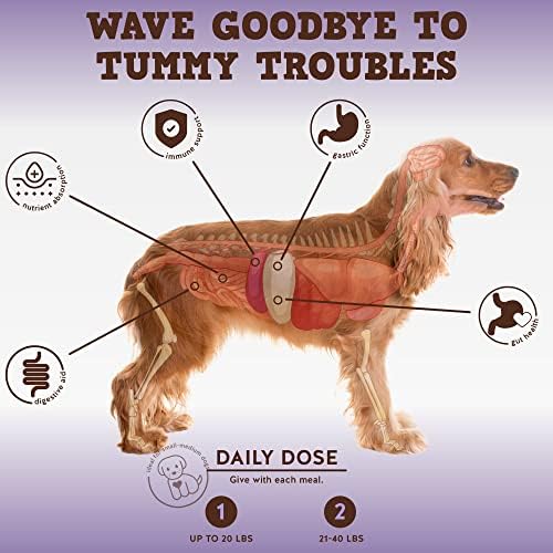 Why Do Dogs Chew Bark