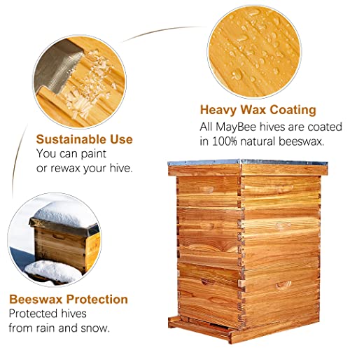 10-Frame Langstroth Beehive Dipped in 100% Beeswax, Complete Bee Hives and Supplies Starter Kit Includes 2 Deep Hive Bee Boxes and 1 Bee Hive Super with Beehive Frames and Foundations
