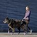 PawZ Rubber Dog Boots for Paws up to 5