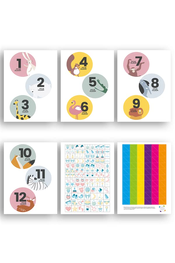 LE COLOR Lecolor Bebek Sticker Seti