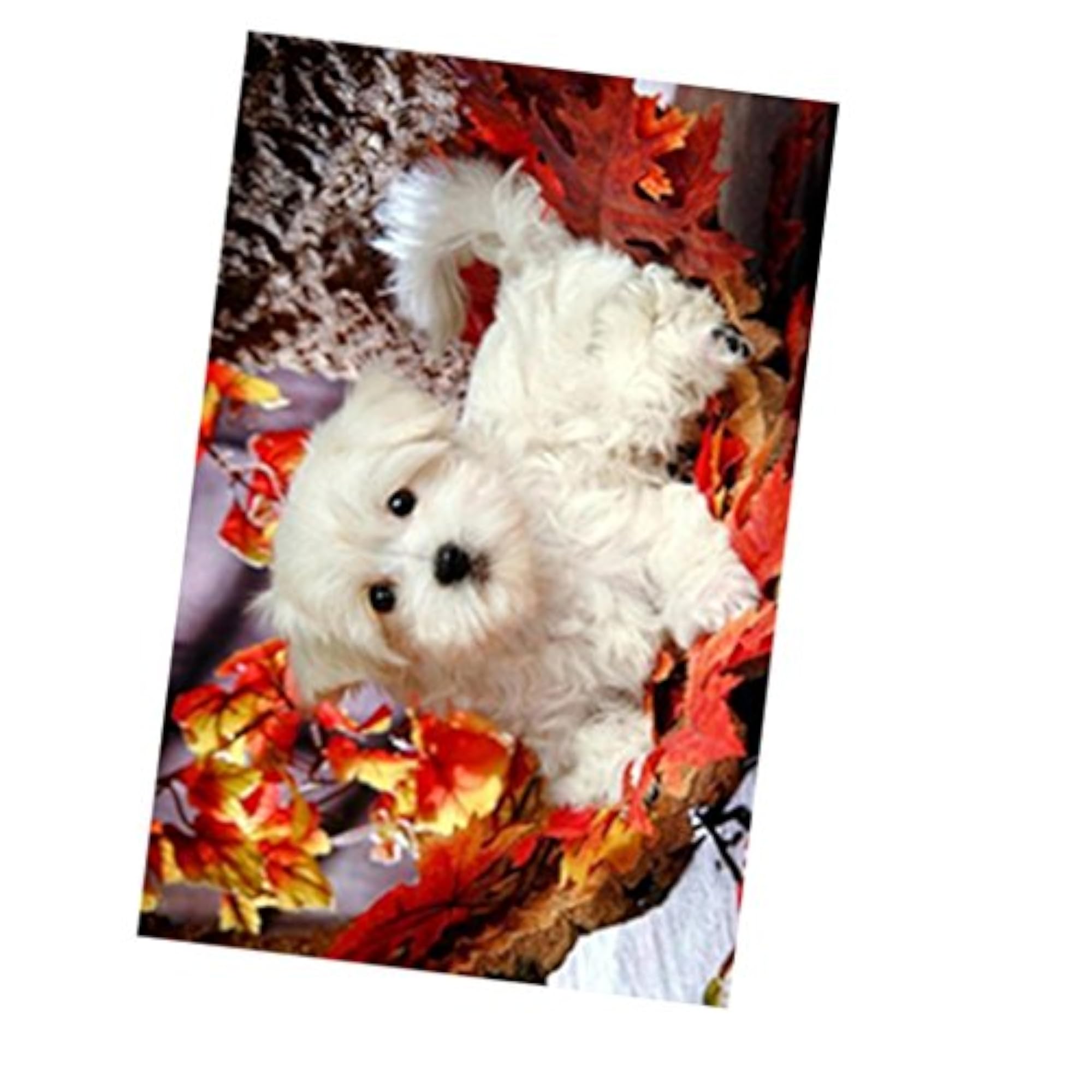 5D DIY Diamond Painting Animal Embroidery Art Craft