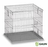 Gaun
