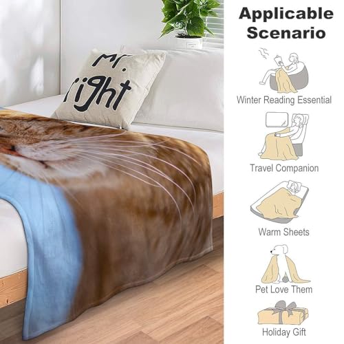 Couverture polaire chat orange pour vos soirées cocooning sur le canapé - 8