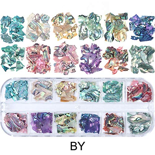 Ocnvlia 3D di Conchiglia Abalone Irregolare