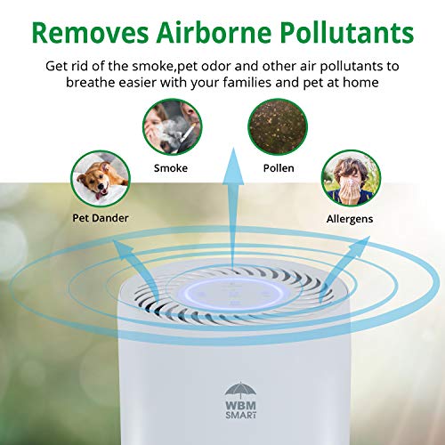 Hepa Filter Air Purifier For Extra Large Room, 25Db Quiet Cleaner For Virus, Bacteria, Pollen, Smoke, Dust, White #TOP1