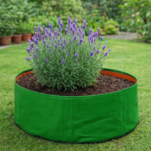 Image of MASHKI HDPE Grow Bags for Home, Terrace & Balcony Gardening - Big Size Vegetable Plant Grow Bags (15x15, 18 inchx18 inch & 24 inchx24 inch - Heavy Duty, UV Stabilized) (1, 24x12 Inches)