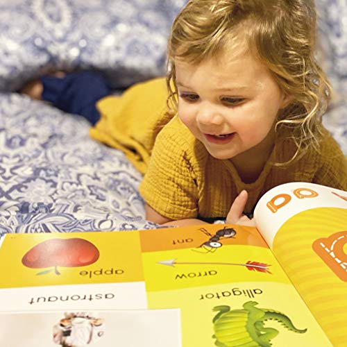 Animal Island Aila 250 Words Book - Preschool Learning System Kindergarten Readiness, Vocabulary, Practice Letters, Literacy Games, Picture Dictionary. A Perfect Preschoolers Gift #TOP5