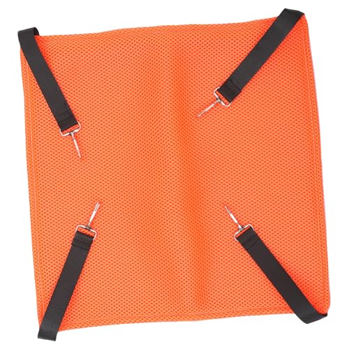 FUTUREORYY LpnbNxbh ʃo[Vu bVf MTCY sN IW ʋCƑω׏d݌v P[WpΉ Lp݂艺Q ƒpybgxbh