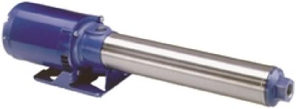 Goulds 18GBS15 Centrifugal Pump