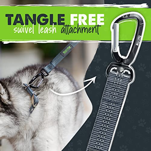 Mighty Paw Short Leash, Traffic Handle Dog Leash, Premium Quality Dog Lead With Padded Handle (30 In, Grey) #TOP5