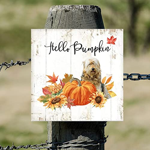 Plaque en bois Hello Pumpkin Basset Dog idée cadeau originale déco