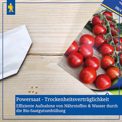 Kiepenkerl Profi-Line Kirschtomatensamen Crokini F1 Saatgut für Süße Cherrytomaten - Robuste Resistenzen gegen Pflanzenkrankheiten - Einfache Anzucht von Tomatenpflanzen im Garten, Gewächshaus & Kübel