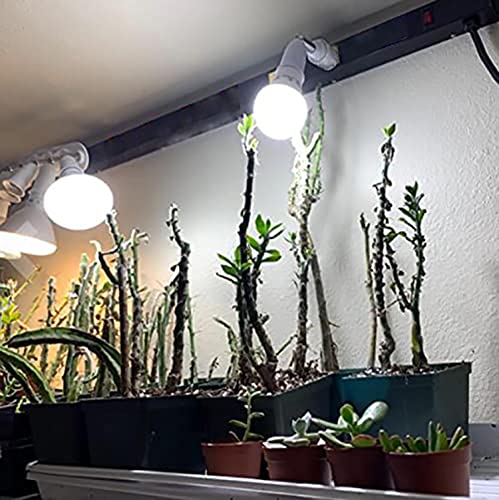 Clwhj-Bulbs Socket Adapte, Dimmable Led Track Light Head,Adjustable Tilt Angle Track Lighting Fixture,120V 360° Angle For Accent Task Wall Art Exhibition Lighting - 2 Pack #TOP6