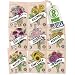 Flower Seeds Variety Pack - 100% Non GMO - Zinnia, Cosmos, Sunflower, Bachelor Button, Calendula, Nasturtium, Marigold, Coneflower for Planting in Your Garden