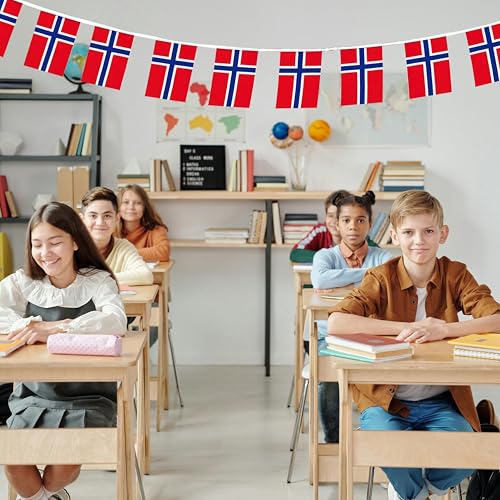 Image of Norway Flags Norwegian String Flag Banners for Patriotic Events Independence Day Sports Bars Inside Outside Decorations 33 Feet 30 Flags