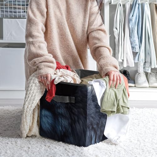Bacs de rangement loup contre le désordre des vêtements - 7