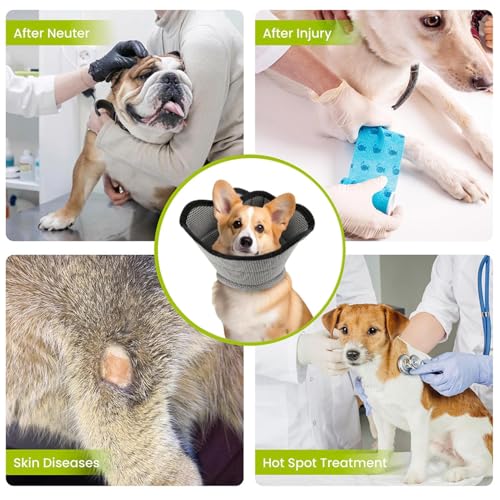Feestelijke Vormen - Weiche Alternative gegen Lecken für Hunde, Schutzzubehör für die Pflege von Wunden und Haustieren, verhindert Bisse, für Wohnung, Schlafzimmer, Wohnzimmer, Außenbereich