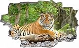 Tiger Tier Wildnis Wandtattoo Wandsticker Wandaufkleber C0096 Größe 70 cm x 110 cm