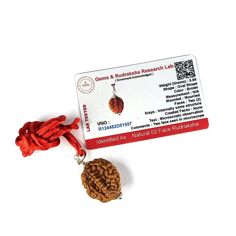 Aleafa Armlet Presents 2 Mukhi Rudraksha/Two Faced Rudraksha Pendant Original Rudraksha Locket (Color Brown) #Aport-0125