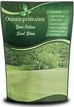 Outsidepride Yukon Bermuda Grass Seed - 1 lbs Cold & High Traffic Tolerant, Premium Hybrid Bermuda Turf Grass Seeds for Lawn, Ideal Low Maintenance Seed Grass for Colder & Challenging Area