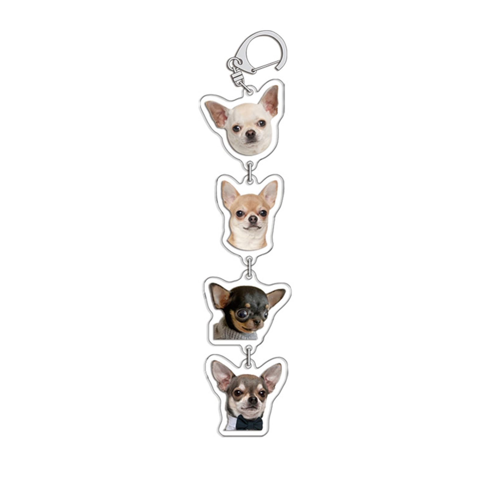 NEWFT Dog Chain Stylish Acrylic Keychain for Pet Owners Animal Charm Keyring