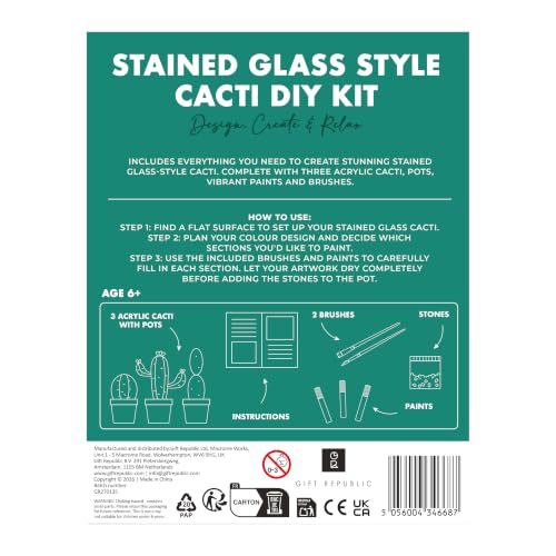 Kit de bricolaje de cactus de vidrieras Gift Republic para pintar decoración acrílica de hogar 7