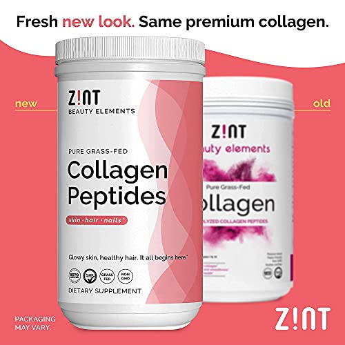 Zint Collagen Peptides Powder (16 Ounce) Anti Aging Hydrolyzed