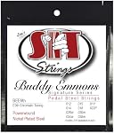 SIT Strings BEE9thBuddy Emmons Pedal Steel E9th Tuning Guitar String, Custom