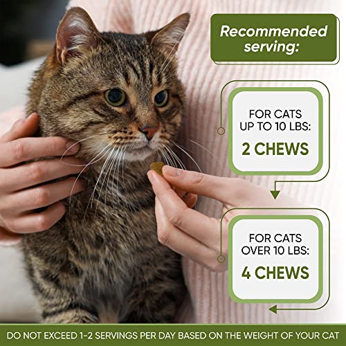 Hemp Cat Calming Treats - 150 Natural Calming Bites For Cats & Cat Anxiety Relief - Organic Calming Treats For Cats & Cat Stress Relief Chews - Salmon Flavor Cat Supplements Cat Calming Products #TOP4