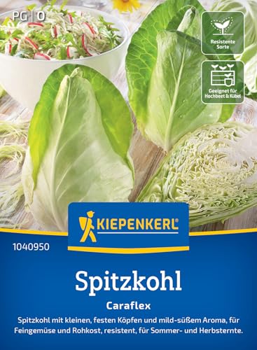 Kiepenkerl Spitzkohlsamen Caraflex 1040950 - kleine, feste Köpfe - mild- süßes Aroma - resistente...