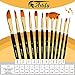 Artify 12 Pcs Paint Brush Set Includes Pop-up Carrying Case with Free Palette Knife, Large Flat Brush and Sponge for Acrylic, Oil, Watercolor and Gouache