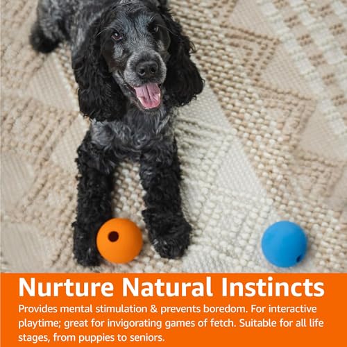 Amazon Basics Apportierbälle aus Gummi zum Spielen für Hunde, 2 Stück, 7.62 cm, Blau, Orange