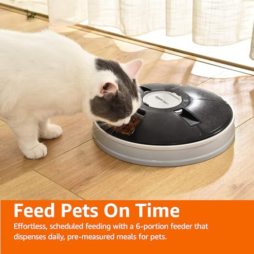 Amazon Basics Automatic Cat Food Feeder with Electronic Timed – 6 Portions, Black