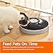 Amazon Basics Automatic Cat Food Feeder with Electronic Timed – 6 Portions, Black