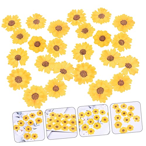 Flores Prensadas OSALADI 24Pcs para Manualidades miniatura 4