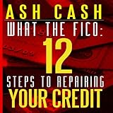 What the FICO: 12 Steps to Repairing Your Credit