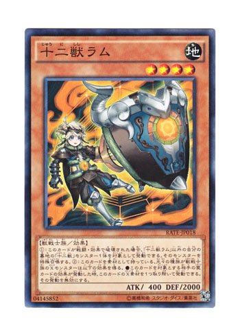 遊戯王　大量　10000枚　日本語版　まとめ　☆735 遊戯王OCG 10000種突破記念 特設サイト | 遊戯王OCGデュエル