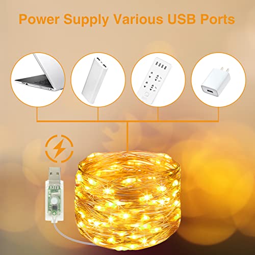 slochi Foto Lichterkette, 5M 50LED USB Fotoclips mit Klammern für Fotos 8 Modi mit Fernbedienung Bilder für Zimmer Wohnzimmer Weihnachten Hochzeiten Warmweiß