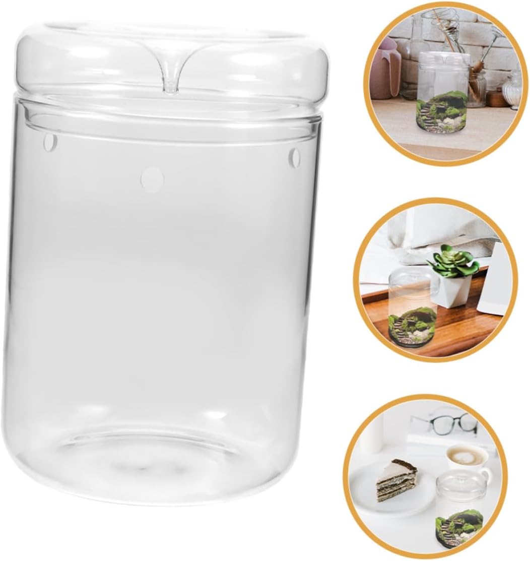 Garden Vase for Live Indoor Plants Micro Landscape DIY Bottle Glass Terrarium Simple Bottle Table Adornment