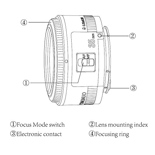 Yongnuo YN35MM Canon – Objektiv für Reflexkamera (f/2.0 AF/MF), schwarz – Bild 5
